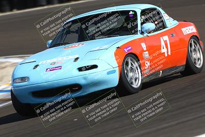 media/Mar-15-2025-CalClub SCCA (Sat) [[f66681bc18]]/Group 5/Race (Turn 6)/